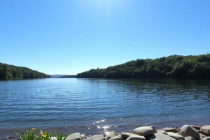 Como Manter Seu Carro em Perfeito Estado: Dicas de Manuten&ccedil;&atilde;o e Cuidados