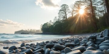 Como Manter Seu Carro em Perfeitas Condições: Dicas e Truques Essenciais