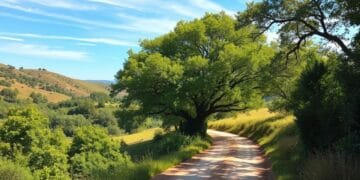 Dicas para dirigir com segurança em estradas de terra